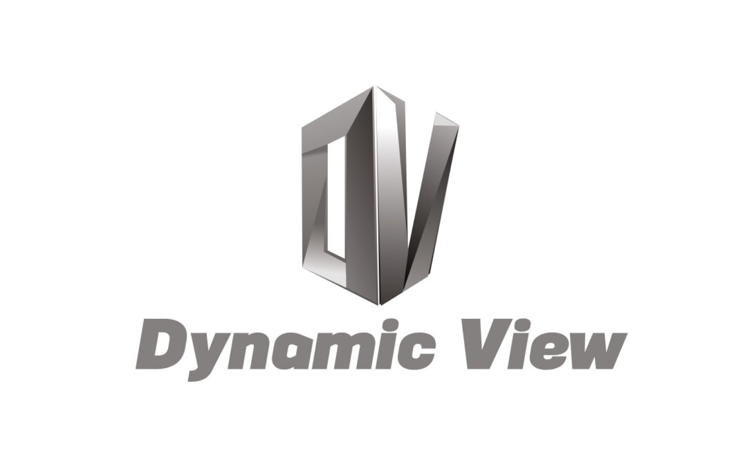 DYNAMIC VIEW