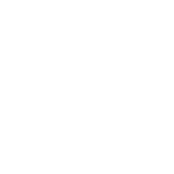 Tribune de Lyon 250X250px Tribune de Lyon 250X250px