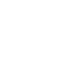 Centre Porsche Lyon 250X250px
